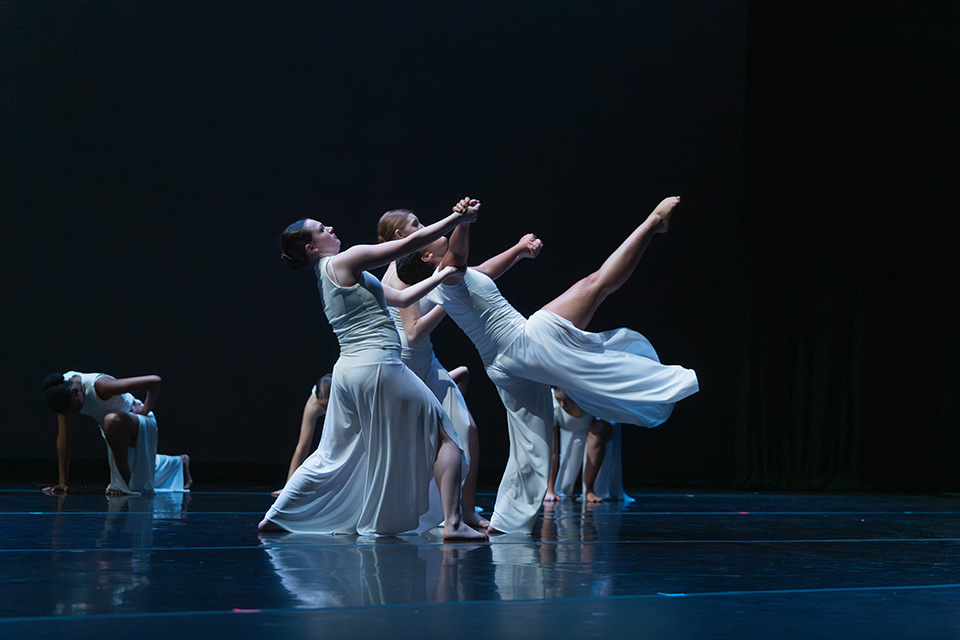 Advanced Training Program