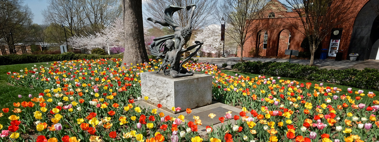 Community Health Standards