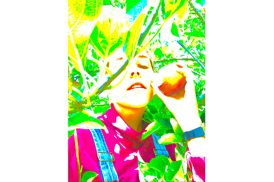 Ticket picking an apple, bright