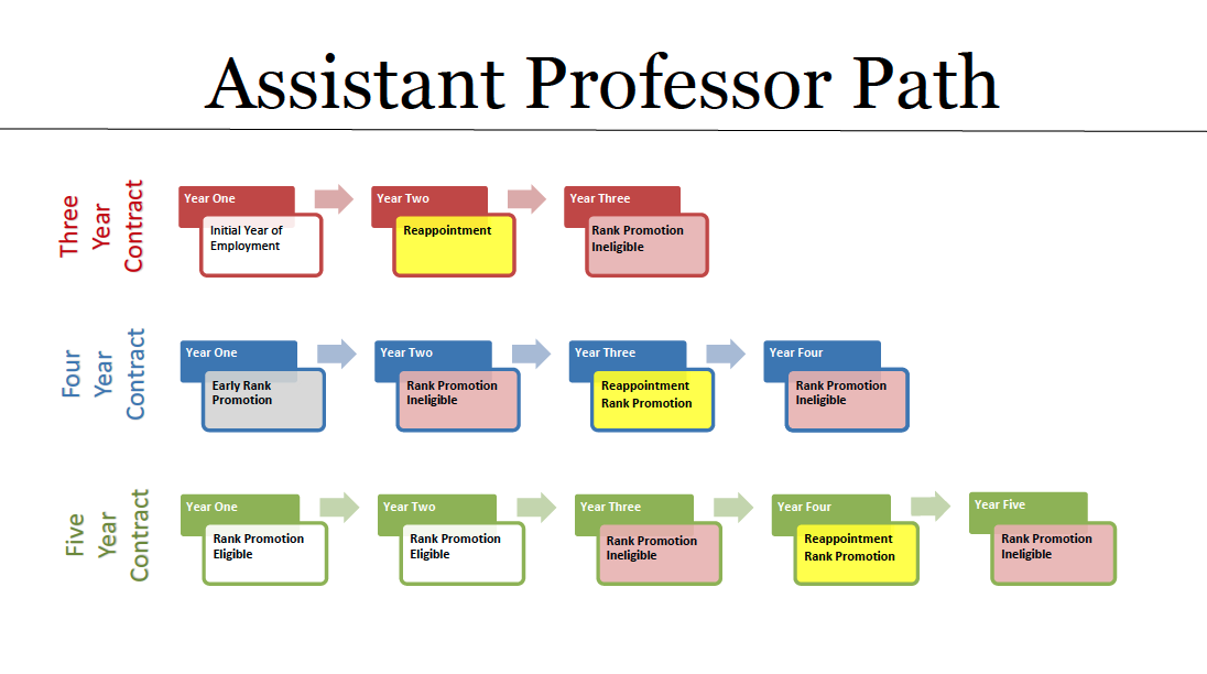 Assistant Professor Path