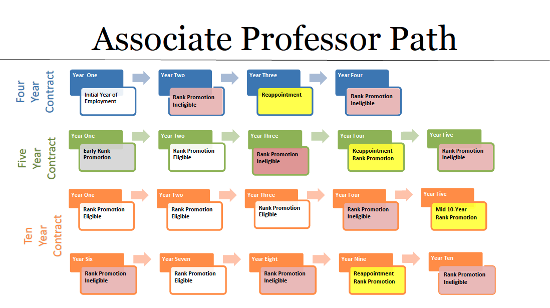 Associate Professor Path