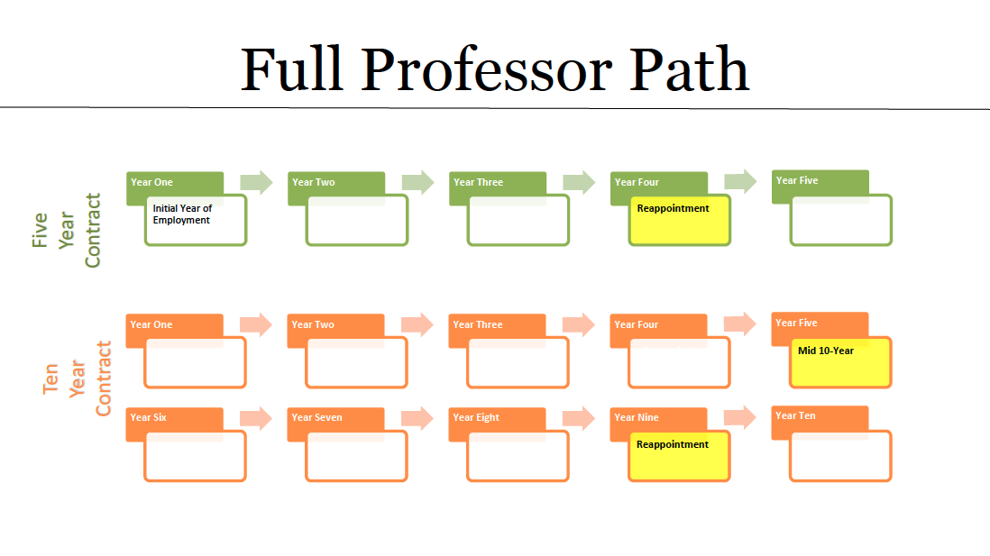 Full Professor Path
