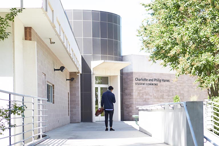Student sitting outside on laptop