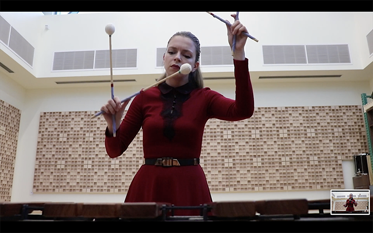 J. S. Bach - Chaconne from Violin Partita No.2 in D minor, BWV 1004