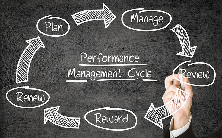 Diagram of performance mangement cycle
