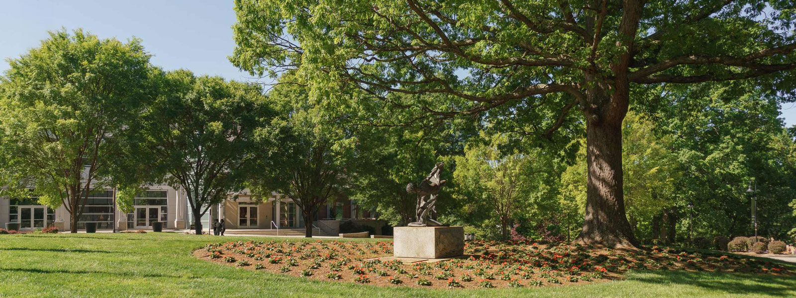 A grassy green lawn with bloomed tulips.