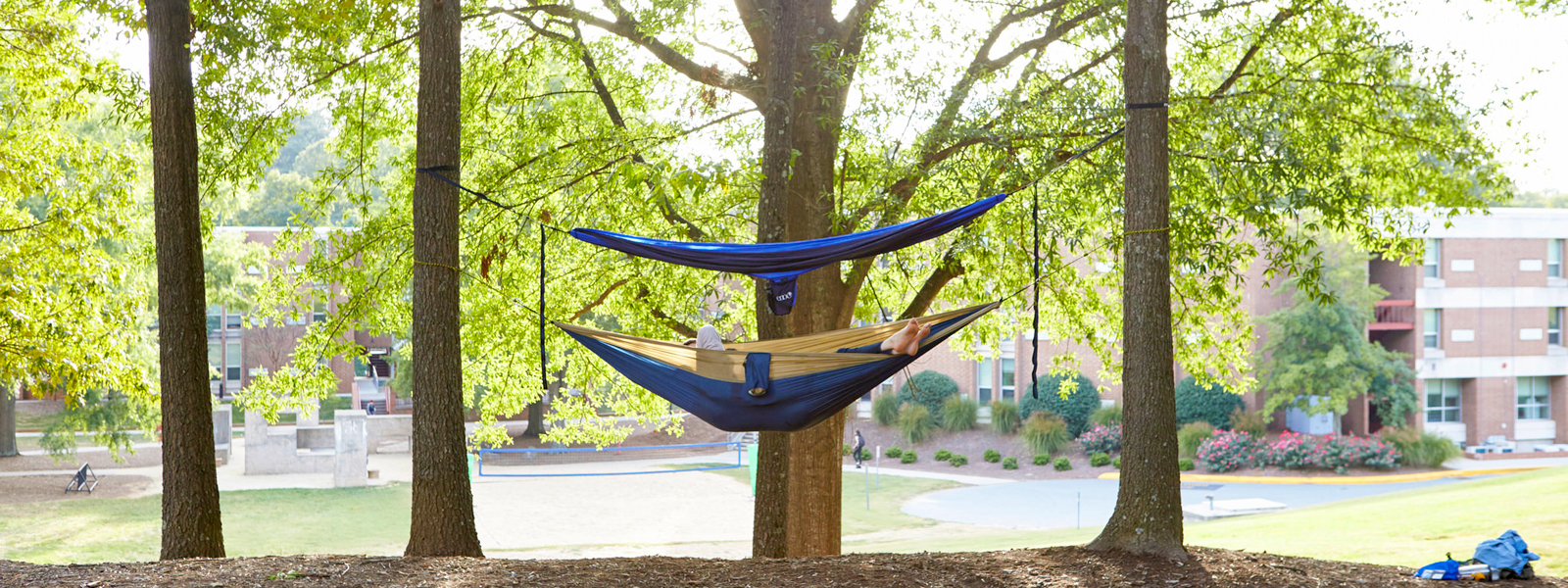 Online Academic Courses