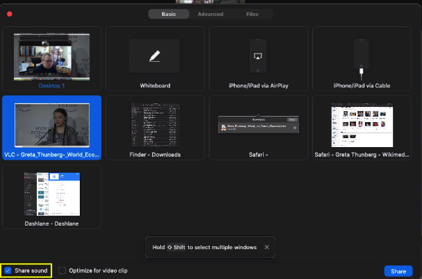 Zoom view with audio passthrough